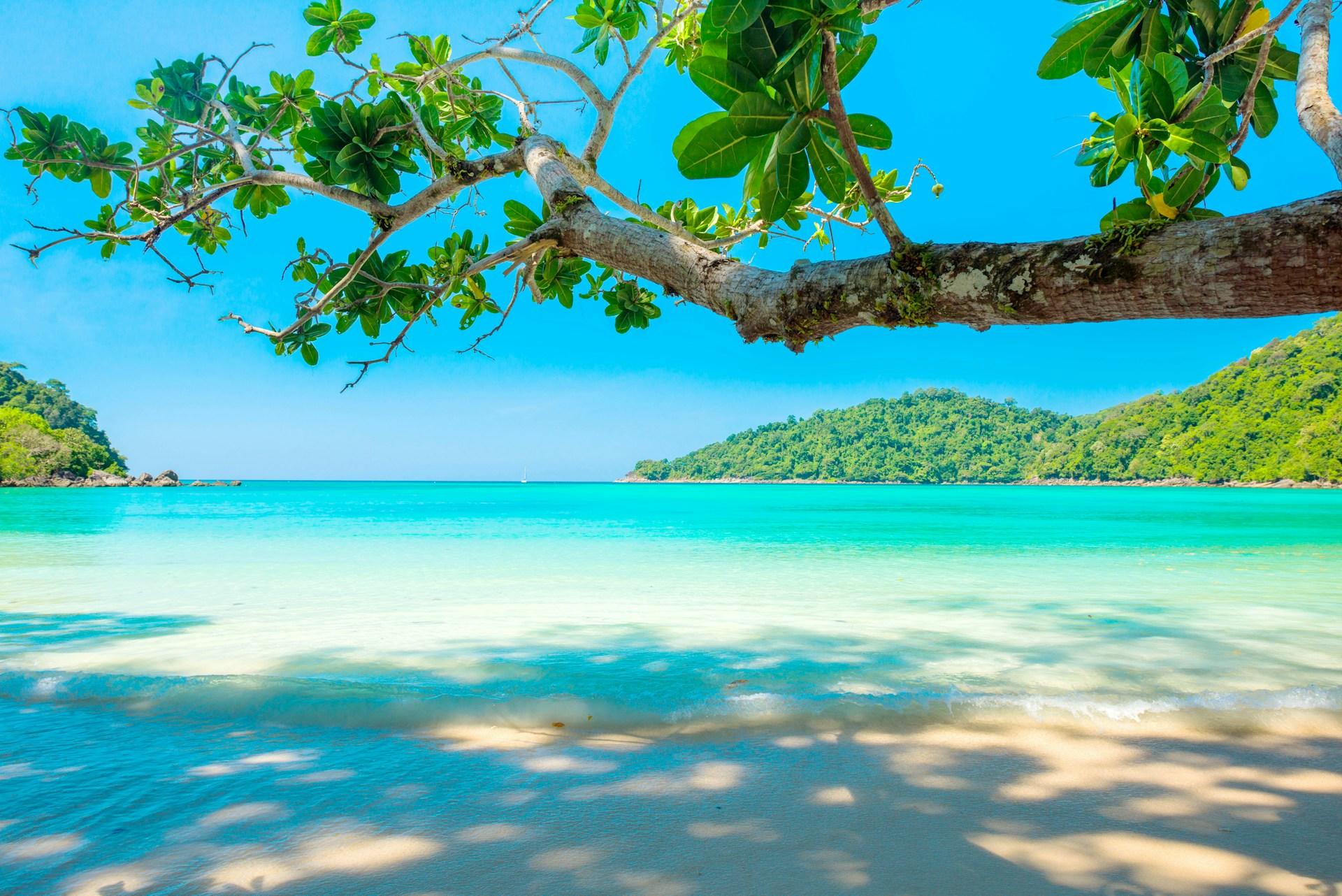 Cover Image for Last-Minute Tropical Getaways: Fast-Track Vaccine Services in Cannock & Chadsmoor